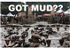 The Dirty Dozen Running for MS
